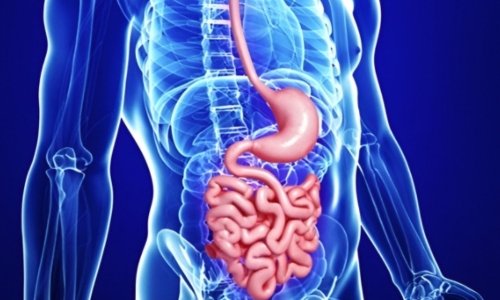 surgical gastro enterology supriya hosptal mysore