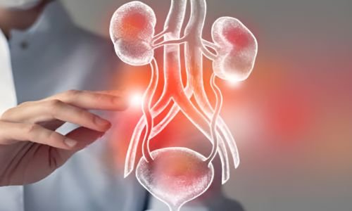 urology supriya hospital mysore